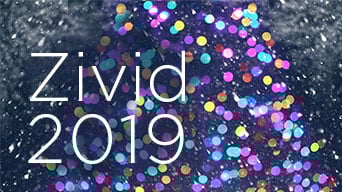 Zivid 3D 2019