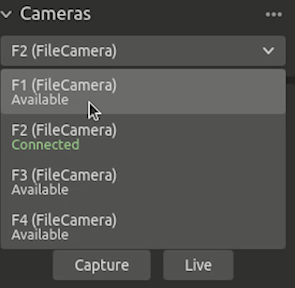 file cameras 1